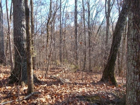 414 Doane Rd, New Market, TN 37820